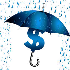 Umbrella Insurance for large liability coverage